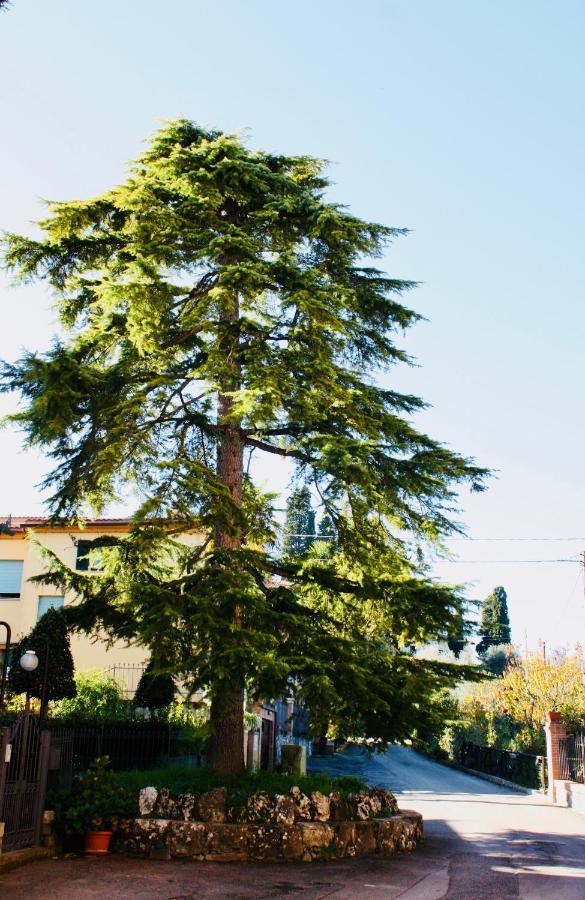 La Torre Di Caprera Apartment Siena Bagian luar foto